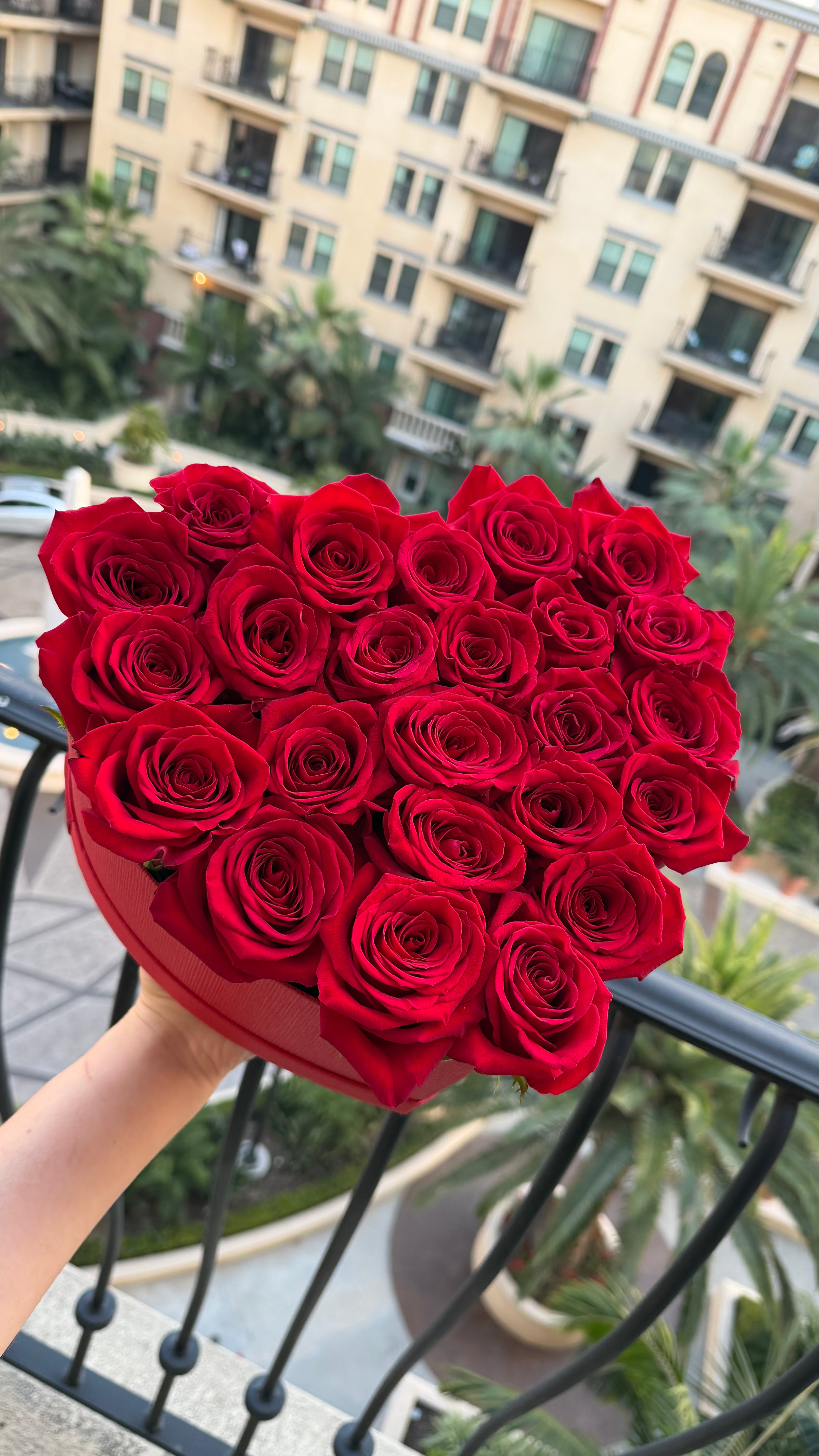 Red Velvet Heart
